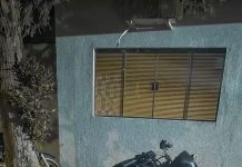 Indivíduos presos por furto qualificado receptação e tráfico de drogas